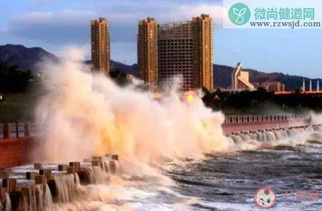 赤潮和风暴潮哪种灾害位于我国海洋灾害之首 蚂蚁森林神奇海洋10月26日答案最新