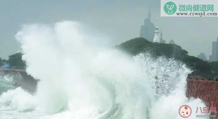 赤潮和风暴潮哪种灾害位于我国海洋灾害之首 蚂蚁森林神奇海洋10月26日答案最新