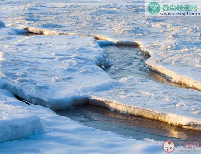 海冰灾害通常发生在我国哪个海域 蚂蚁森林神奇海洋10月29日答案