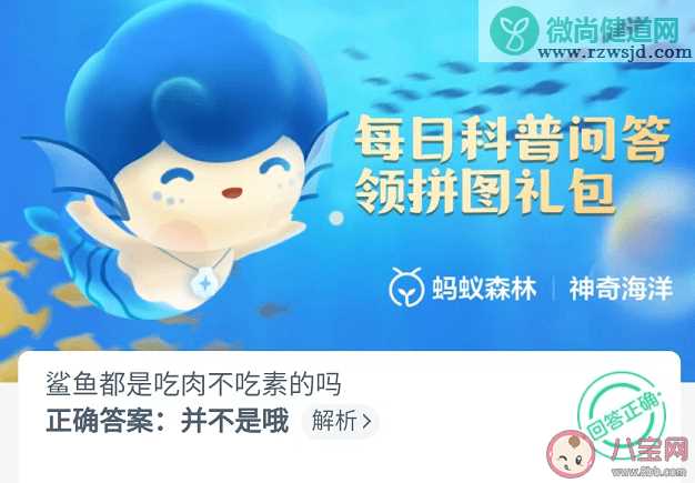 鲨鱼都是吃肉不吃素的吗 蚂蚁森林神奇海洋10月31日