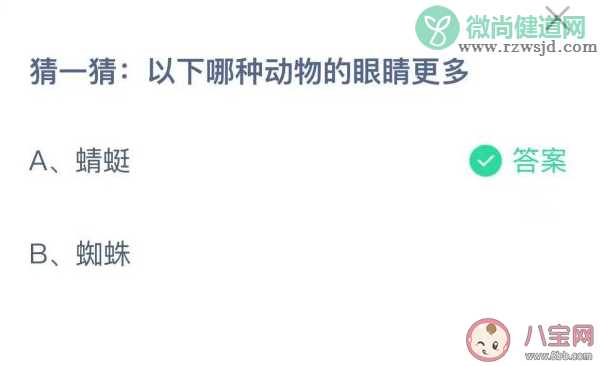 蜻蜓和蜘蛛哪种动物的眼睛更多 蚂蚁庄园11月3日答案解析