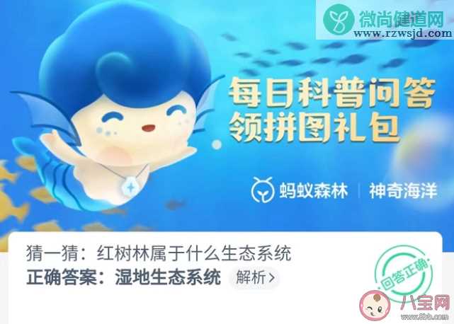 蚂蚁森林红树林属于什么生态系统 神奇海洋11月10日