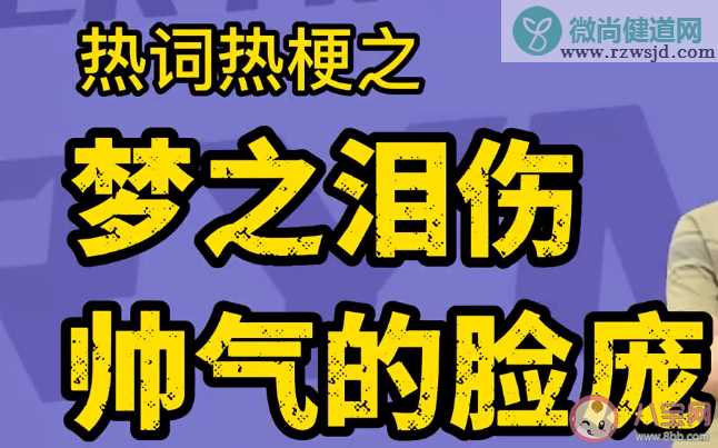 梦之泪伤帅气的脸庞是什么梗什么歌 《梦之泪伤》完