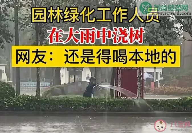 绿化工作人员雨天给大树浇水 下雨天为什么要浇绿化