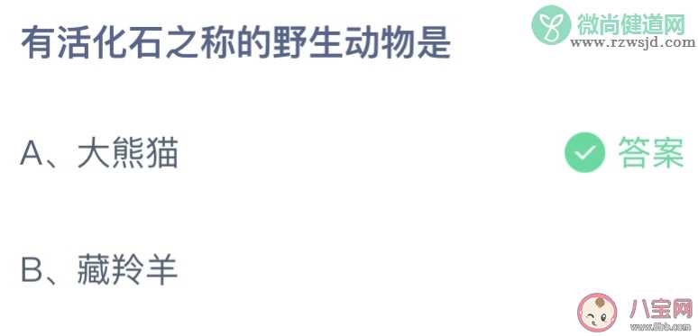 有活化石之称的野生动物是什么 蚂蚁庄园11月17日答