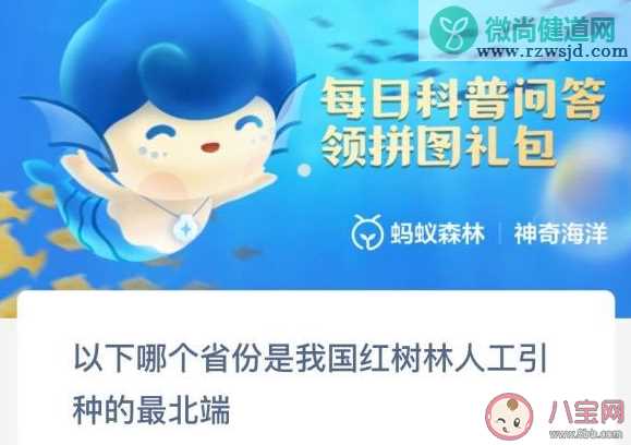 以下哪个省份是我国红树林人工引种的最北端 神奇海