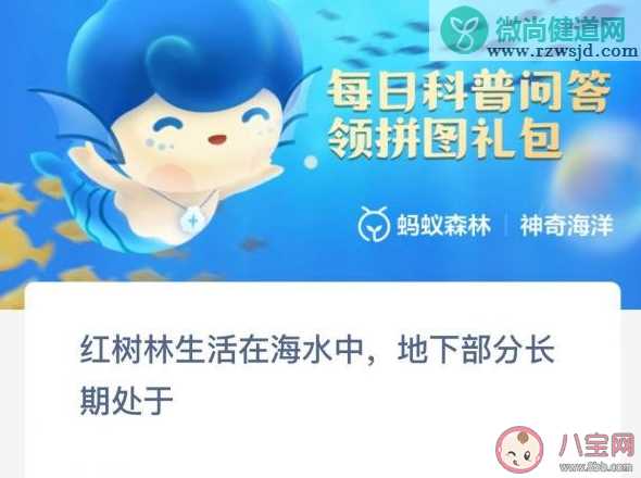 红树林生活在海水中地下部分