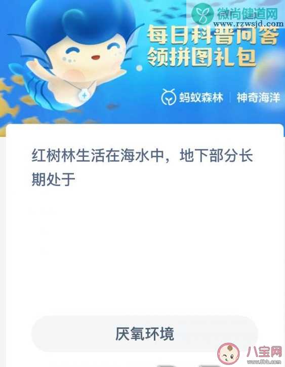 蚂蚁森林红树林生活在海水中地下部分长期处于什么环