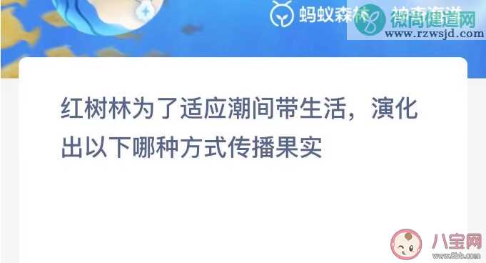 红树林用什么方式传播果实 神奇海洋11月21日答案