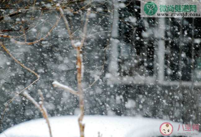 冬天下的鹅毛大雪其实是什么 蚂蚁庄园12月7日答案