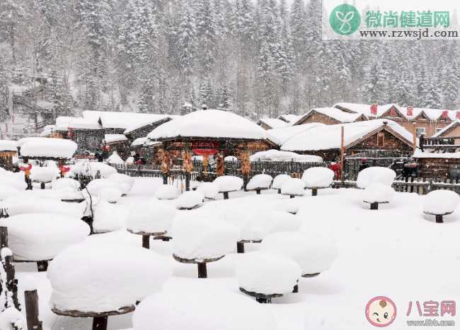 冬天下的鹅毛大雪其实是什么 蚂蚁庄园12月7日答案