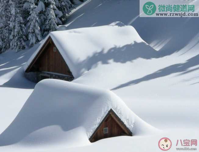 以下哪种雪会融化得更快 蚂蚁庄园12月6日答案解析