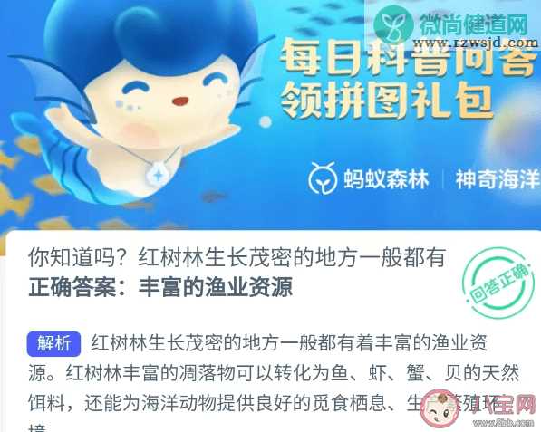 红树林生长在茂密的地方一般都有什么 神奇海洋12月3日答案