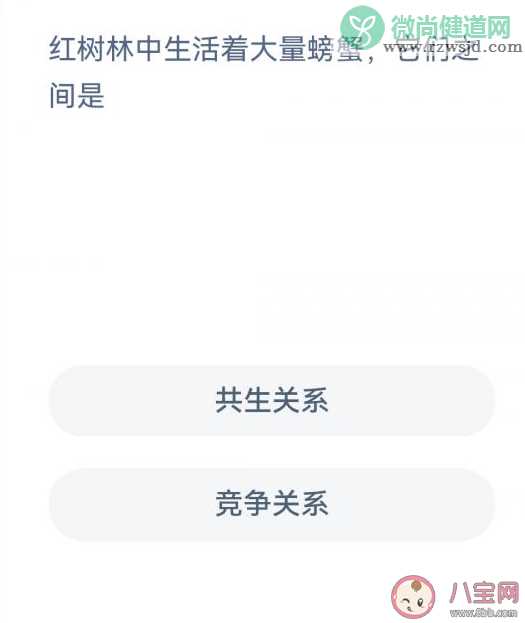 蚂蚁森林红树林中活着大量螃蟹它们之间是什么关系 神奇海洋12月7日答案