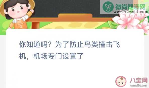 为了防止鸟类撞击飞机机场专门设置了 蚂蚁新村12月7