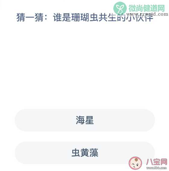 谁是珊瑚虫共生的小伙伴 蚂蚁森林神奇海洋12月13日答案