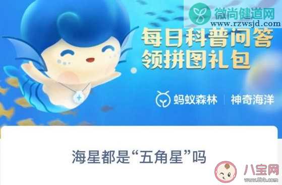 海星都是五角星吗 神奇海洋12月14日答案