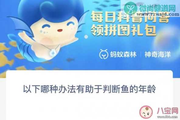 以下哪种办法有助于判断鱼的