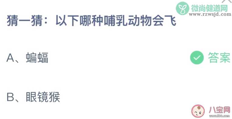 猜一猜以下哪种哺乳动物会飞 蚂蚁庄园12月27日答案