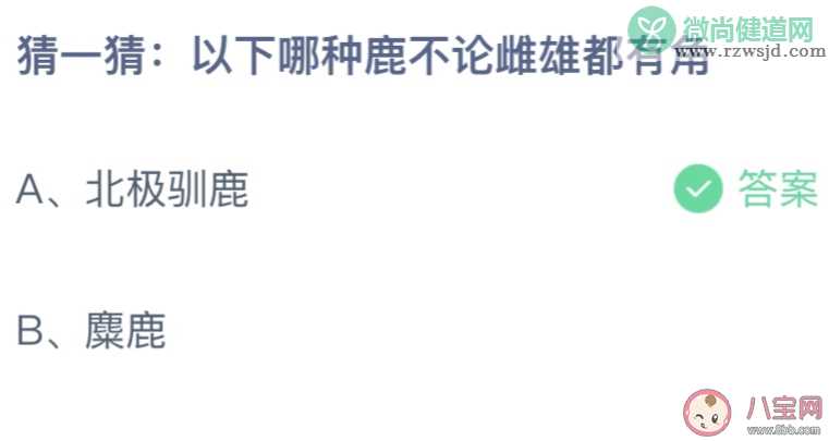 猜一猜以下哪种鹿不论雌雄都有角 蚂蚁庄园12月31答