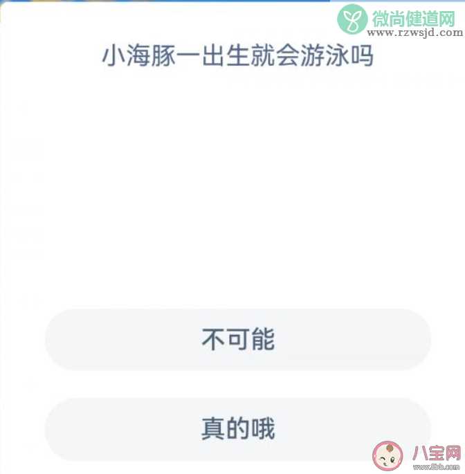 小海豚一出生就会游泳吗 蚂蚁森林神奇海洋1月2日答案