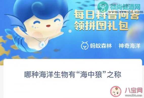 哪种海洋生物有海中狼之称 神奇海洋1月4日答案