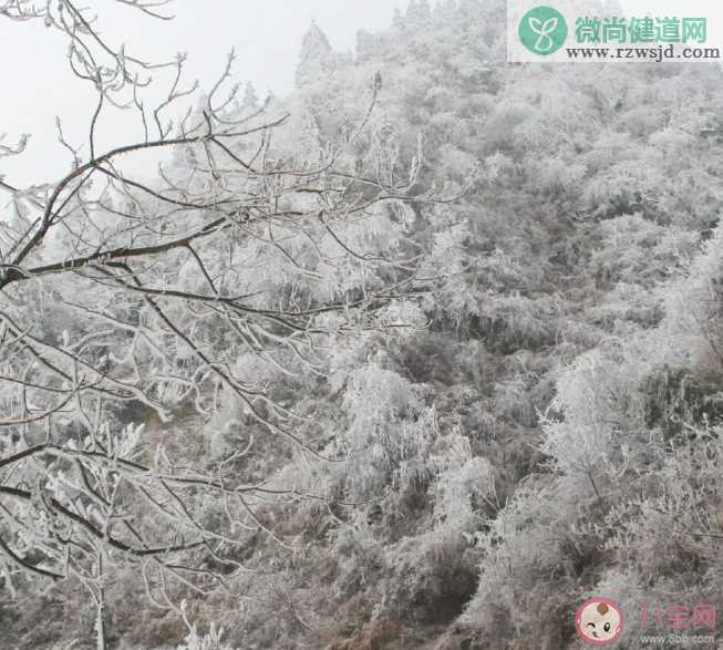 今年首场寒潮最强雨雪下在哪