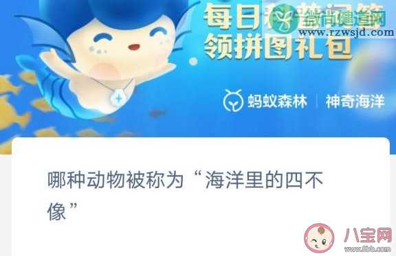 哪种动物被称为海洋里的四不像 神奇海洋1月19日答案