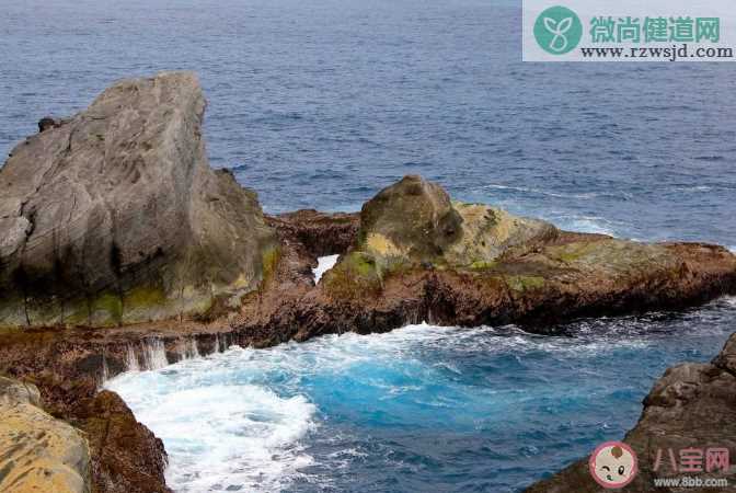 海洋中的疯狗浪具有以下哪种典型特征 蚂蚁森林神奇海洋2月3日答案