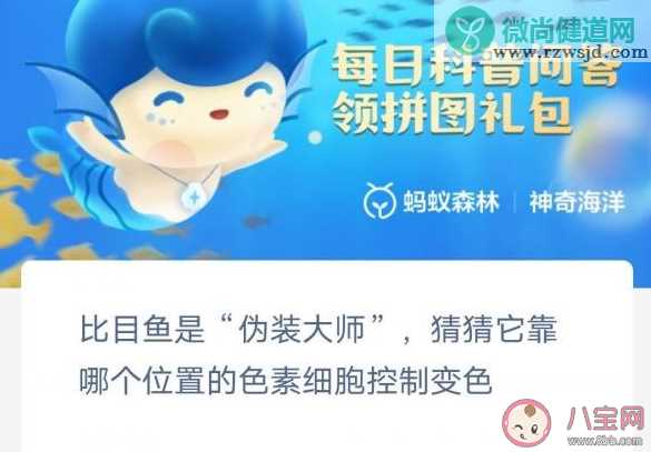 比目鱼靠哪个位置的色素细胞控制变色 神奇海洋2月7