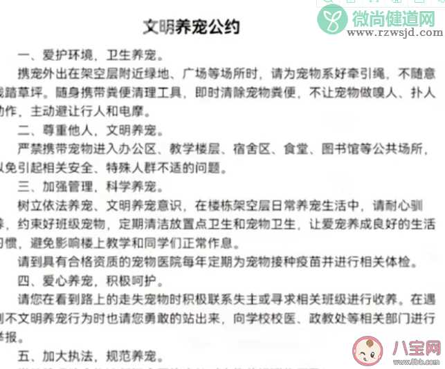 南宁二中可带宠物上学是真的吗 带宠物上学好吗