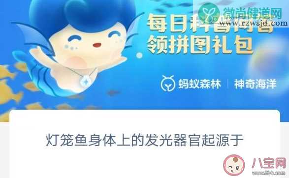 灯笼鱼身体上的发光器官起源于 神奇海洋2月10日答案