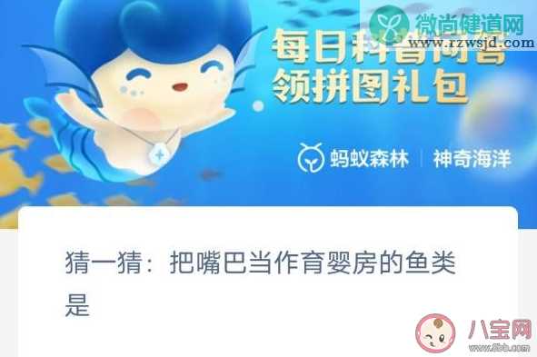 把嘴巴当作育婴房的鱼类是什么 神奇海洋2月13日答案