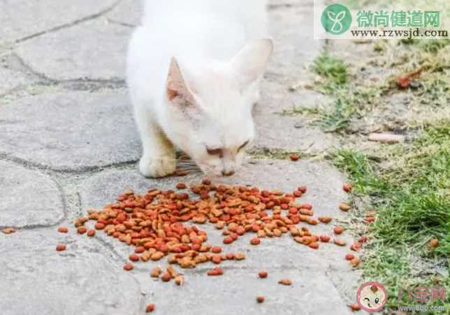 宠物食品品尝师主要服务于哪个行业 蚂蚁新村2月20日答案