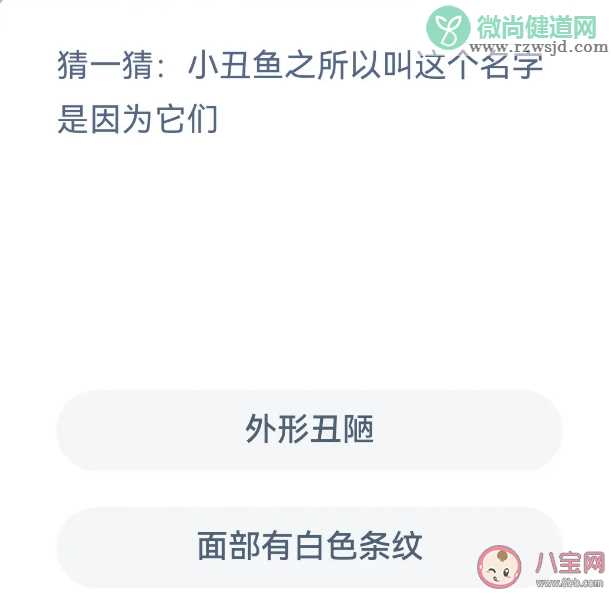 蚂蚁森林小丑鱼之所以叫这个