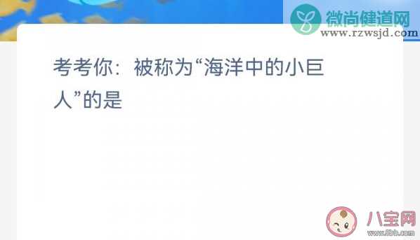 考考你被称为海洋中的小巨人的是 神奇海洋3月1日答案