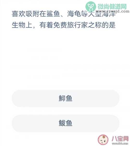 吸附在海洋生物上有着免费<a href=http://www.rzwsjd.com/tags/lvxing/ target=_blank class=infotextkey>旅行</a>家之称的是什么 神奇海洋3月3日答案解析