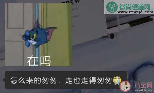 关于不回消息的文案句子 不