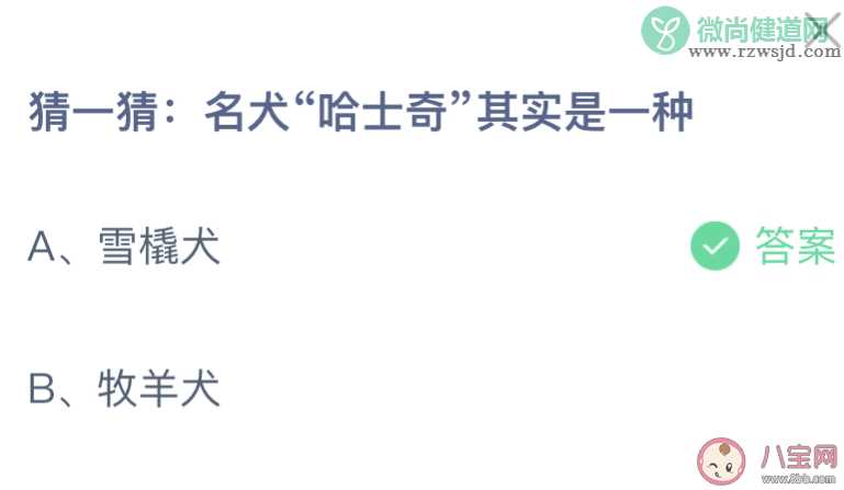 名犬哈士奇其实是一种 蚂蚁庄园4月14日答案