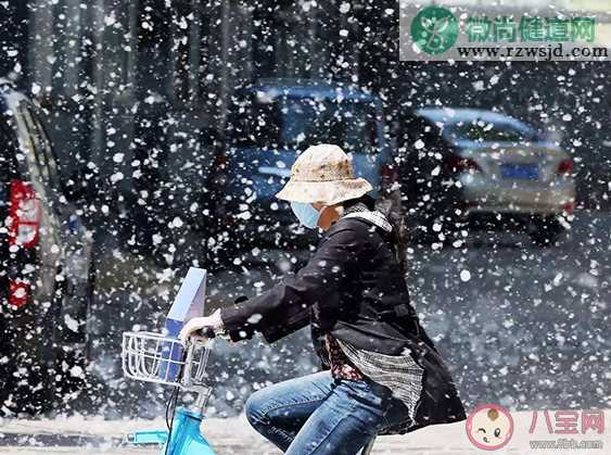 杨柳飞絮这么烦人为啥还要种 能把杨柳树都砍掉吗