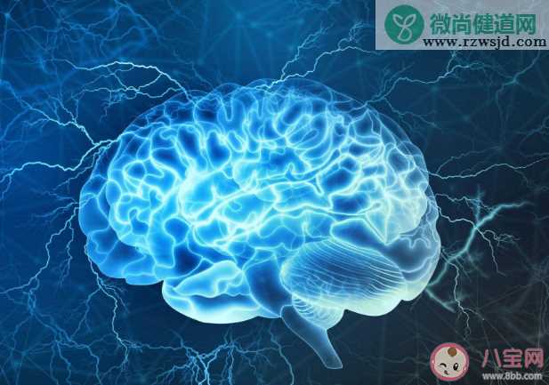 消耗人体能量最多的器官是什么 蚂蚁庄园4月19日答案