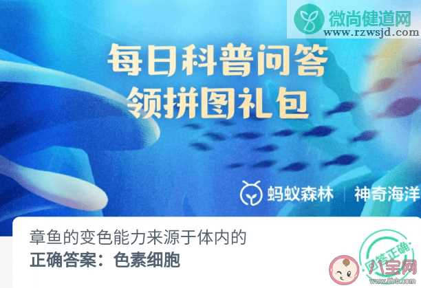 章鱼的变色能力来源于体内的 神奇海洋4月18日答案