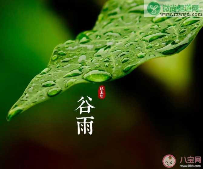 谷雨节气之后天气通常会有什么变化 蚂蚁庄园4月20日答案