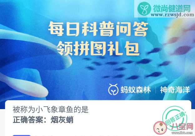 被称为小飞象章鱼的是 神奇海洋4月19日答案