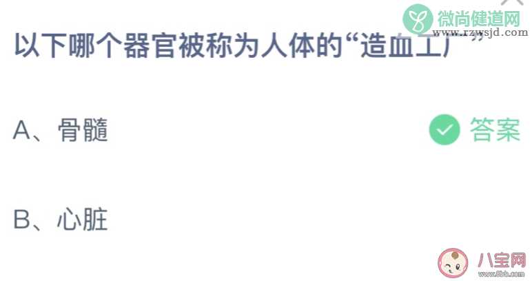 哪个器官被称为人体的造血工厂 蚂蚁庄园4月27日答案最新