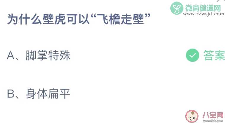 为什么壁虎可以飞檐走壁 蚂蚁庄园4月27日答案