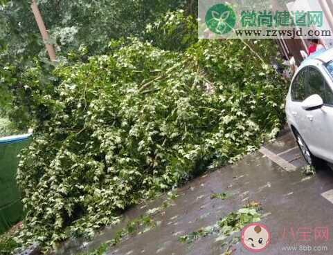 大风大雨怎么发朋友圈 狂风暴雨的心情感慨句子