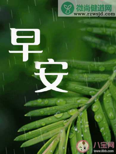 下雨天早安朋友圈说说句子 下雨天早安正能量心情语