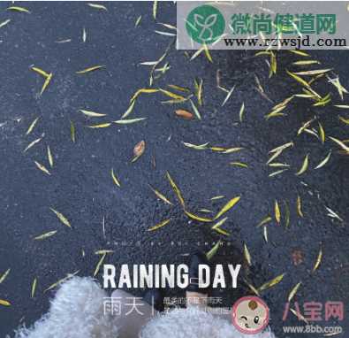 下雨天早安朋友圈说说句子 下雨天早安正能量心情语录