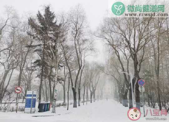 2020年哈尔滨第一场雪的发朋